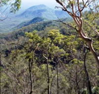Crediton State Forest