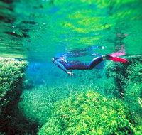 Piccaninnie Ponds Conservation Park - Holiday Sunshine Coast