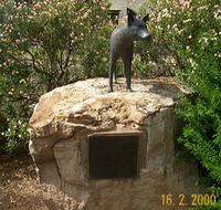 Dingo Statue