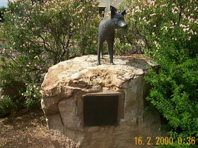 Dingo Statue - Sunshine Coast Tourism 0
