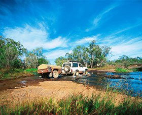 Rinyirru (Lakefield) National Park (CYPAL) - Sunshine Coast Tourism 0