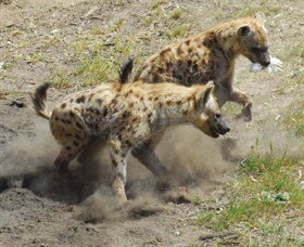 Darlington Point ACT Sunshine Coast Tourism