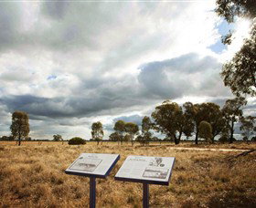 Backroads Trail - Sunshine Coast Tourism 2