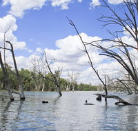 Murrumbidgee Valley National Park - Sunshine Coast Tourism