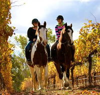 Billabong Ranch