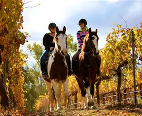 Billabong Ranch - Sunshine Coast Tourism 0