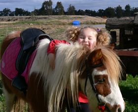 Billabong Ranch - Sunshine Coast Tourism 1