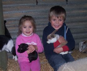 Billabong Ranch - Sunshine Coast Tourism 3