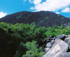 Black Mountain (Kalkajaka) National Park - Sunshine Coast Tourism 0
