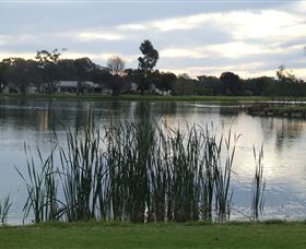 Luke Park - Sunshine Coast Tourism 2