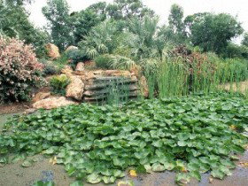 Mackenzie Park - Sunshine Coast Tourism 0