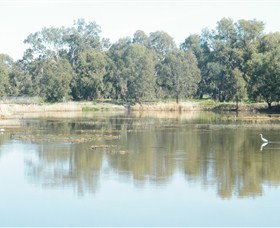 Narrandera Wetlands - Sunshine Coast Tourism 1