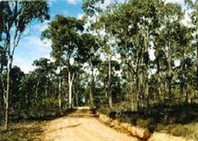 Paddys Ranges State Park - Sunshine Coast Tourism 0