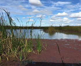 Gwydir Wetlands - Holiday Sunshine Coast 0