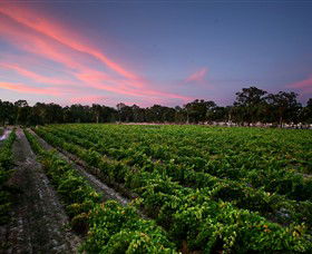 Amherst Winery - Sunshine Coast Tourism 0