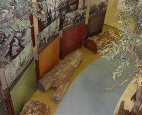 Barmah Forest Heritage And Education Centre - Holiday Sunshine Coast 4