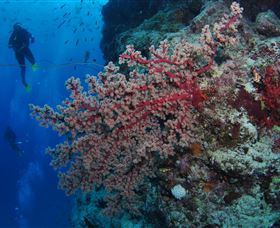  Sunshine Coast Tourism