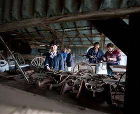 Cockatoo ACT Sunshine Coast Tourism