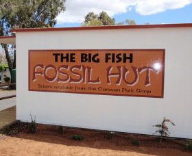 Big Fish Fossil Hut At Peak Hill - Holiday Sunshine Coast 0