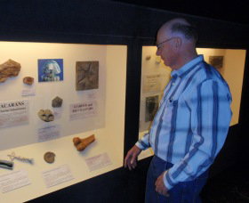 Big Fish Fossil Hut At Peak Hill - Holiday Sunshine Coast 1