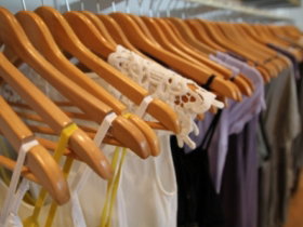 PAYA - Holiday Sunshine Coast 0