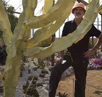 Cactus Country - Sunshine Coast Tourism