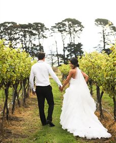 Quoin Hill Vineyard - Holiday Sunshine Coast 2