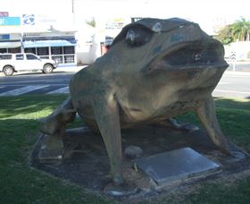 Big Cane Toad - Sunshine Coast Tourism 0