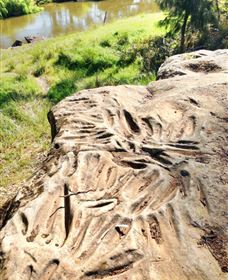 Terramungamine Rock Grooves - Holiday Sunshine Coast 0