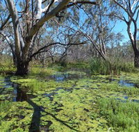 Macquarie Valley Trails - Holiday Sunshine Coast