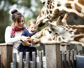 Taronga Western Plains Zoo, Dubbo - Holiday Sunshine Coast 0
