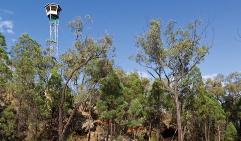 Salt Caves Picnic Area - Holiday Sunshine Coast 2