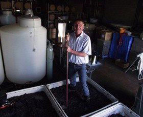 Red Earth Estate Vineyard - Sunshine Coast Tourism 6