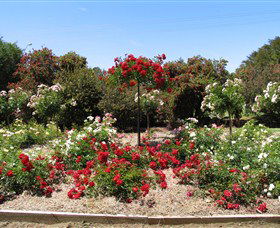 Barooga Botanical Gardens - Holiday Sunshine Coast 2