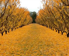  Sunshine Coast Tourism