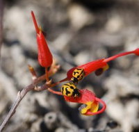 Fitzgerald Biosphere - Sunshine Coast Tourism