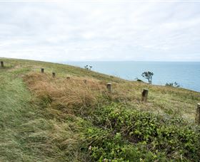 Cape Palmerston National Park - Sunshine Coast Tourism 3