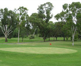 Moree Golf Club - Sunshine Coast Tourism 0