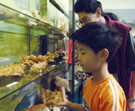 Crystal Kingdom - Sunshine Coast Tourism 2