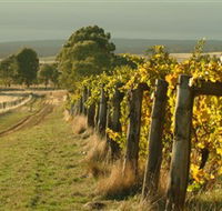 Captains Creek Organic Wines - Holiday Sunshine Coast