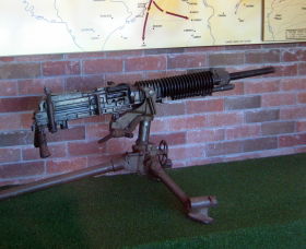 Woodpecker Gun - Sunshine Coast Tourism 0
