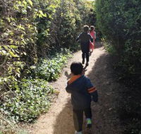 The Tangled Maze  Mistydowns Nursery - Holiday Sunshine Coast