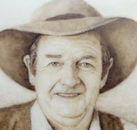 Doris Golder Wool Art Gallery - Holiday Sunshine Coast