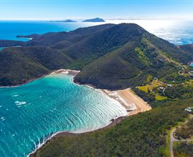 Whale Watching On Keswick Island - Sunshine Coast Tourism 1