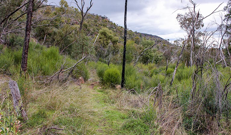 Piney Range NSW Holiday Sunshine Coast