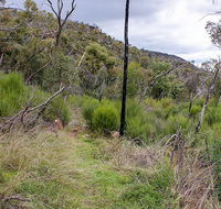 Lynchs loop trail - Holiday Sunshine Coast