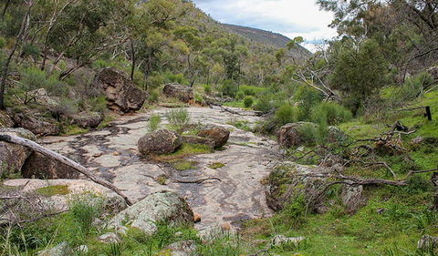 Lynchs Loop Trail - Holiday Sunshine Coast 1