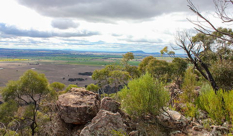 Lynchs Loop Trail - Holiday Sunshine Coast 3