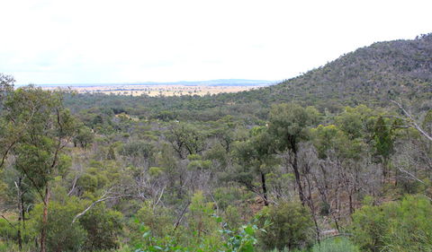 Ben Hall's Cave Walking Track - Holiday Sunshine Coast 0