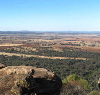 Basin Gully to Eualdrie lookout track - Holiday Sunshine Coast